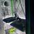 Vivosun complete grow tent setup hydro ready to start 2 thumbnail