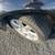 SUBARU OUTBACK AWD Waranted CLEAN Loaded Ez Inhouse Financing Trade OK 22 thumbnail