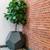 Live/Work, Exposed Brick Walls, SPECIALS, Lovely Studio in Downtown LA 3 thumbnail