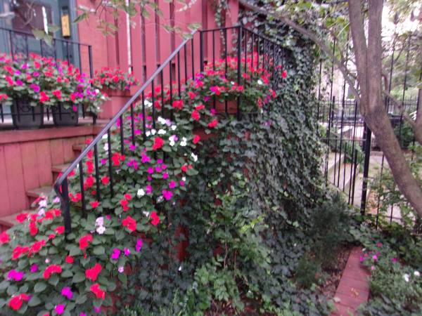$3,400 / 3br - 1500ft2 - East Lakeview (Chicago - 3200 North)64041810204161122