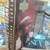 1995 Upper Deck Michael Jordan Original 23KT Gold Card - NEW in box 2 thumbnail