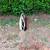 ⭐️⭐️⭐️ Main Waterline Replacement Plumbing - Same Day Plumber 11 thumbnail