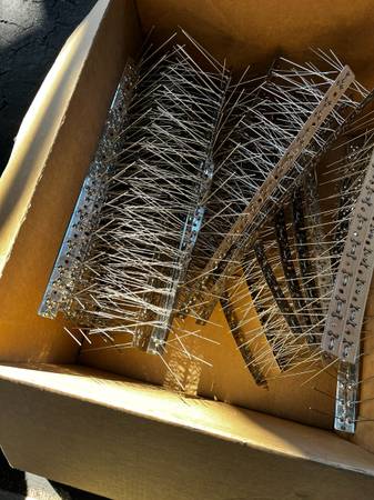 Bird spikes 1