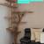 Custom Local handcrafted Natural tree branch Cat trees / condos and more! 4 thumbnail