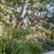 Outdoor Fireplace, Elevators, Spacious & Open Layouts 5 thumbnail