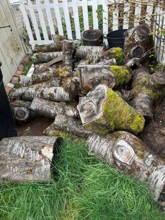 cherry lumber, air-dried cherry slabs, domestic hardwood Gig Harbor.