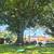 Fall ready and pet friendly- MOVE IN SPECIAL 2x1 townhome NOW! 20 thumbnail