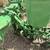 John Deere 2 row corn planter 5 thumbnail