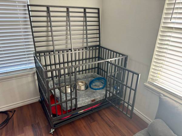 Dog starter kit 1