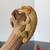Crested geckos 8 thumbnail