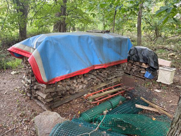 Firewood- half cord seasoned 1