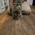 Rehoming female kittens 2 thumbnail