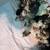 Baby chicks 5 thumbnail
