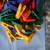 Colorful Plastic Clothes-Pins 3 thumbnail