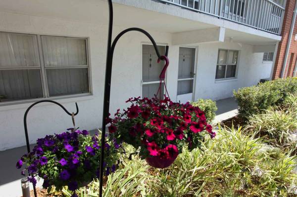 $1,604 / 2br - 870ft2 - Looking for a beautiful space? You've come to the right place! (Clearwater - Near Parks and Beaches)63976137841667123