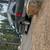 2000 ford expedition edie bouer 3 thumbnail