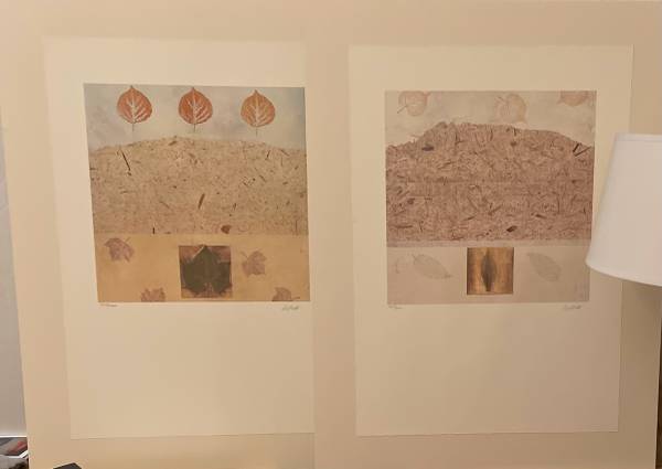 LITHOGRAPHS 2 BOTANICAL LEAF LIMITED EDITION SIGNED H SCOTT 1