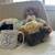 Netherland Dwarf Miniature Bunny Bunnies Rabbit 3 thumbnail