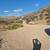 Huge discount for cash buyer 5 + acre horse property with fixer- upper 16 thumbnail