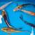 Butterfly koi 4 thumbnail