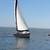 O’Day 272 Sailboat & Trailer 5 thumbnail