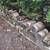 Seasoned firewood 6 thumbnail