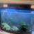 Fish tank 80 gallon 1 thumbnail