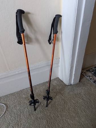 Adjustable Length Ski/Hiking Poles 1