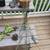 Beautiful succulents 8 thumbnail