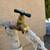 $75 hose bib replacment / local plumber / Plumbing services 1 thumbnail