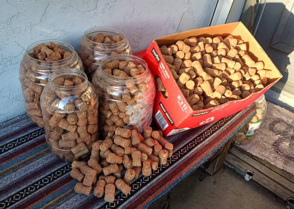 100 Used Champagne Corks 1