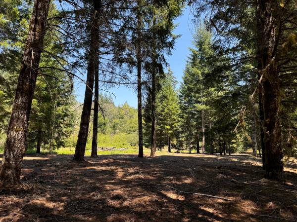 $260,000 Willamina Lote Plano de 4.4 Acres para Construir y 10 Acres de Madera Repoblada (Willamina)63620943296001124