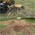Tree Removal & Stump Grinding 7 thumbnail