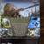 PC Games 6 thumbnail