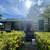 Investor Special – Full Rehab or New Construction Opportunity! 2 thumbnail