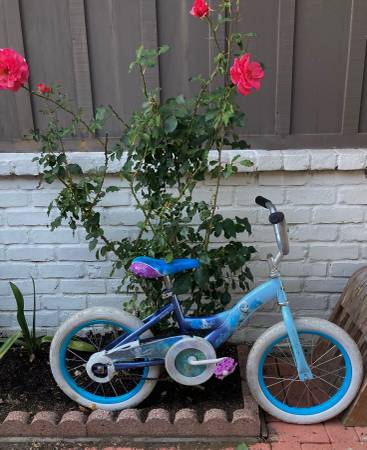Sweet little Girls Bike 3-6 year old 1