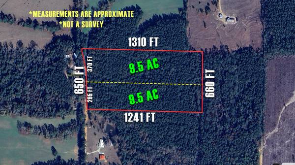 $99,000 9.5 Acres Boscosos en Chipley, FL - Alto y Seco, Tranquilo y Listo para Ti (Chipley)64193708813313121