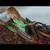 Boa Imperator 1 thumbnail