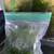 Java moss 1 thumbnail