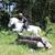 Expert Mobile Riding Lessons Brought to Your Barn! (English & Western) 2 thumbnail