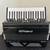 Roland FR-4X Accordion 1 thumbnail