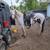 Horse training and saddle starting 10 thumbnail