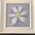 FRAMED WALL ART DECOR WATERCOLOR PRINTS FLOWERS ORCHID | DAISY SET/2 2 thumbnail