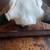 Taxidermy Buffalo skull wall decor hunting art mount camp farm house 3 thumbnail