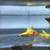 Platy variatus 1 thumbnail