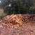 Oak Firewood 2 thumbnail