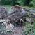 Garage and debris clean up 1 thumbnail