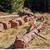 Firewood U-Cut 2 thumbnail