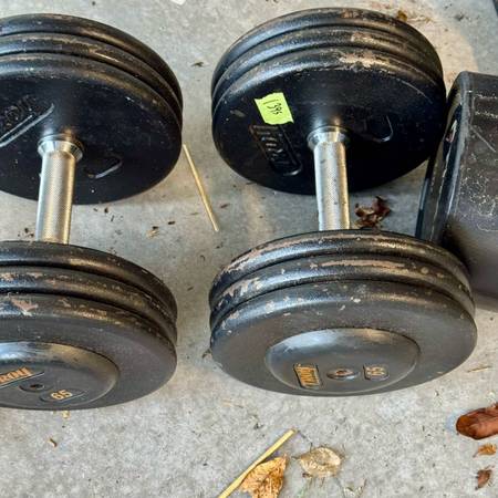 65lbs Dumbbell Set 1