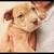 Rehoming Puppy 1 thumbnail